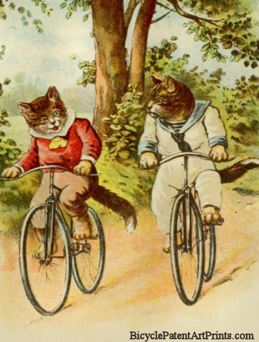 Cats Riding Bicycles Illustration Postcard