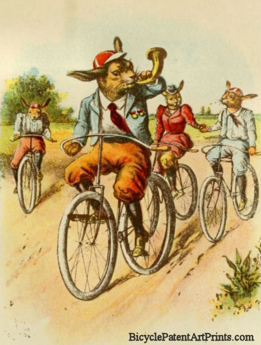 Rabbits Riding Bicycles Postcard